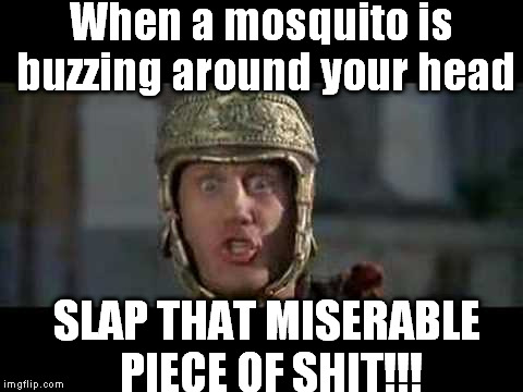 Mosquitoes=Flying Shit | When a mosquito is buzzing around your head; SLAP THAT MISERABLE PIECE OF SHIT!!! | image tagged in memes,funny,move that miserable piece of shit,mosquito | made w/ Imgflip meme maker