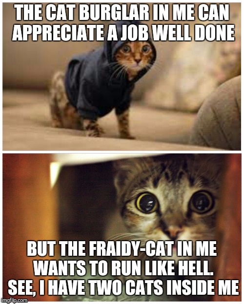 Favorite lucky quote | THE CAT BURGLAR IN ME CAN APPRECIATE A JOB WELL DONE; BUT THE FRAIDY-CAT IN ME WANTS TO RUN LIKE HELL. SEE, I HAVE TWO CATS INSIDE ME | image tagged in lucky,king of the hill,cats | made w/ Imgflip meme maker