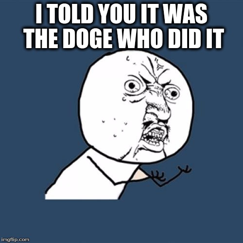 Y U No | I TOLD YOU IT WAS THE DOGE WHO DID IT | image tagged in memes,y u no | made w/ Imgflip meme maker