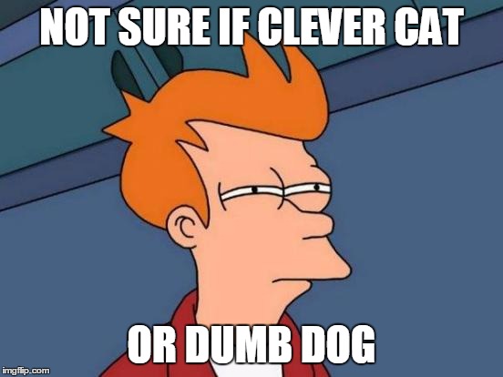 Futurama Fry Meme | NOT SURE IF CLEVER CAT OR DUMB DOG | image tagged in memes,futurama fry | made w/ Imgflip meme maker