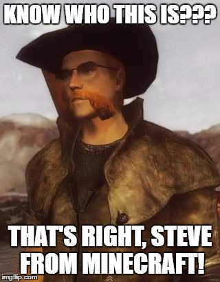 Know Who This Is? | KNOW WHO THIS IS??? THAT'S RIGHT, STEVE FROM MINECRAFT! | image tagged in alchestbreach,fallout,fallout 4,fallout new vegas | made w/ Imgflip meme maker
