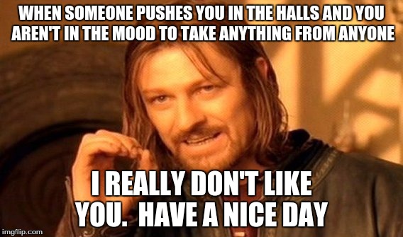 One Does Not Simply Meme | WHEN SOMEONE PUSHES YOU IN THE HALLS AND YOU AREN'T IN THE MOOD TO TAKE ANYTHING FROM ANYONE; I REALLY DON'T LIKE YOU. 
HAVE A NICE DAY | image tagged in memes,one does not simply | made w/ Imgflip meme maker