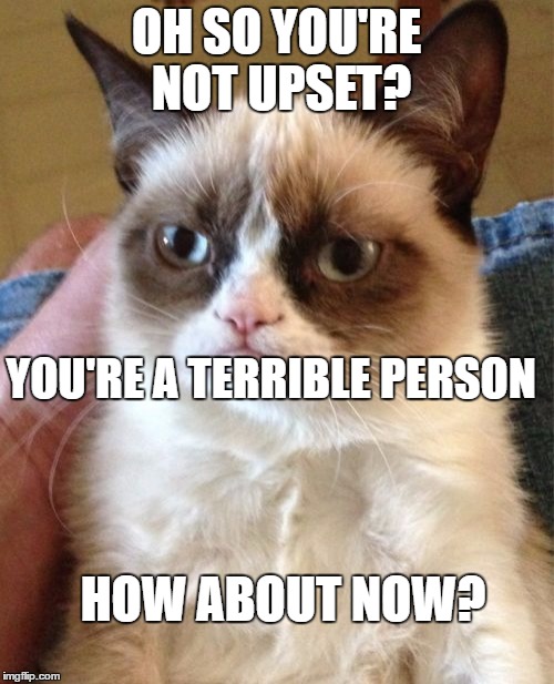 Grumpy Cat Meme | OH SO YOU'RE NOT UPSET? YOU'RE A TERRIBLE PERSON HOW ABOUT NOW? | image tagged in memes,grumpy cat | made w/ Imgflip meme maker