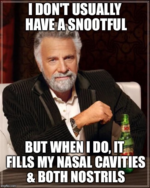 The Most Interesting Man In The World Meme | I DON'T USUALLY HAVE A SNOOTFUL BUT WHEN I DO, IT FILLS MY NASAL CAVITIES & BOTH NOSTRILS | image tagged in memes,the most interesting man in the world | made w/ Imgflip meme maker