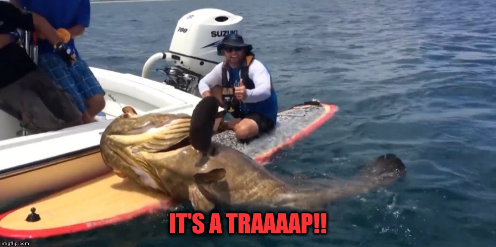 IT'S A TRAAAAP!! | made w/ Imgflip meme maker