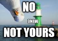 NO; NOT YOURS | image tagged in mine bird | made w/ Imgflip meme maker