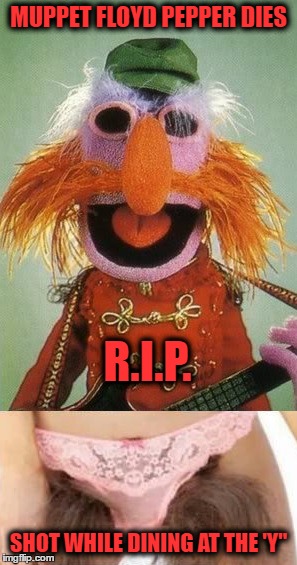 Floyd Pepper Muppet | MUPPET FLOYD PEPPER DIES; R.I.P. SHOT WHILE DINING AT THE 'Y" | image tagged in floyd pepper muppet | made w/ Imgflip meme maker