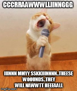 Singer Cat | CCCRRAAWWWLLIINNGGG; IIINNN MMYY SSKKIIINNNN..THEESE WOOUNDS..THEY WILL NAWWTT HEEEAALL | image tagged in singer cat | made w/ Imgflip meme maker