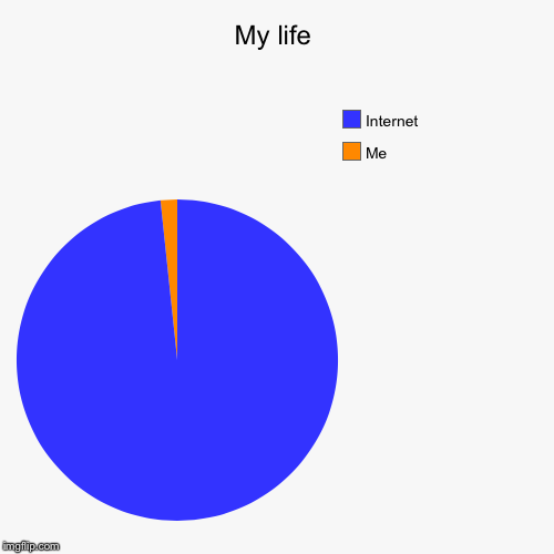 image tagged in funny,pie charts | made w/ Imgflip chart maker