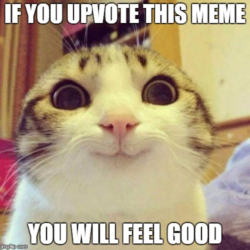 Send the upvote fairy! | IF YOU UPVOTE THIS MEME; YOU WILL FEEL GOOD | image tagged in memes,smiling cat,help me | made w/ Imgflip meme maker