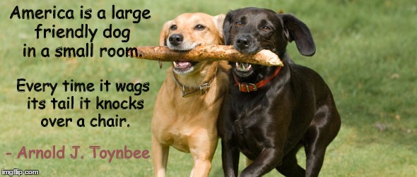 Dogs | America is a large friendly dog in a small room. Every time it wags its tail it knocks over a chair. - Arnold J. Toynbee | image tagged in dogs | made w/ Imgflip meme maker