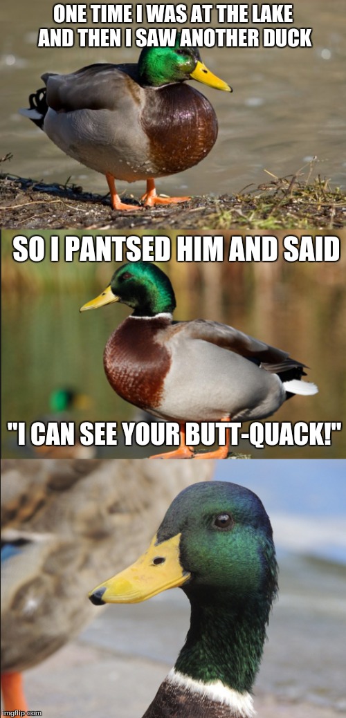 This quacks me up | ONE TIME I WAS AT THE LAKE AND THEN I SAW ANOTHER DUCK; SO I PANTSED HIM AND SAID; "I CAN SEE YOUR BUTT-QUACK!" | image tagged in memes,funny,ducks | made w/ Imgflip meme maker