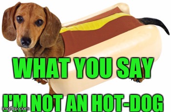 WHAT YOU SAY; I'M NOT AN HOT-DOG | image tagged in dogs | made w/ Imgflip meme maker