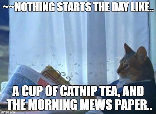 Cat newspaper | ~~NOTHING STARTS THE DAY LIKE.. A CUP OF CATNIP TEA, AND THE MORNING MEWS PAPER.. | image tagged in cat newspaper | made w/ Imgflip meme maker