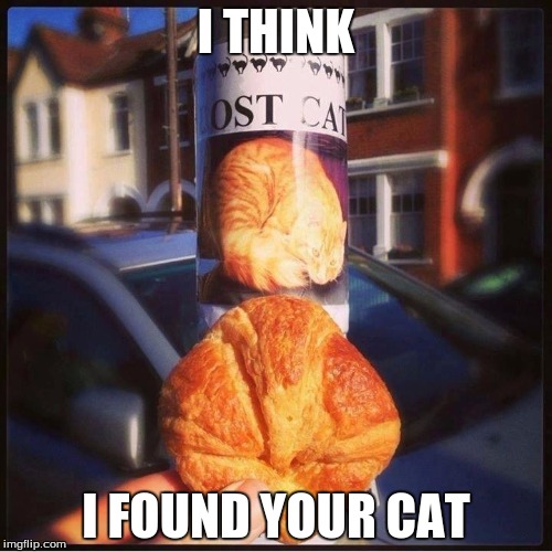 I THINK; I FOUND YOUR CAT | image tagged in lost cat crossiant | made w/ Imgflip meme maker