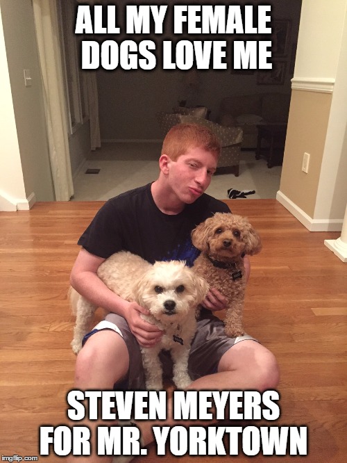 Steven Meyers for Mr. Yorktown  | ALL MY FEMALE DOGS LOVE ME; STEVEN MEYERS FOR MR. YORKTOWN | image tagged in ginger | made w/ Imgflip meme maker