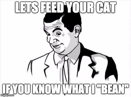 If You Know What I Mean Bean | LETS FEED YOUR CAT; IF YOU KNOW WHAT I ''BEAN'' | image tagged in memes,if you know what i mean bean | made w/ Imgflip meme maker