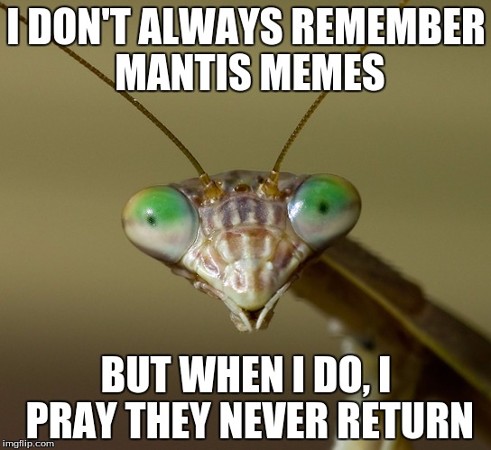 Oh wait... | I DON'T ALWAYS REMEMBER MANTIS MEMES; BUT WHEN I DO, I PRAY THEY NEVER RETURN | image tagged in praying mantis head,mantis,praying mantis | made w/ Imgflip meme maker