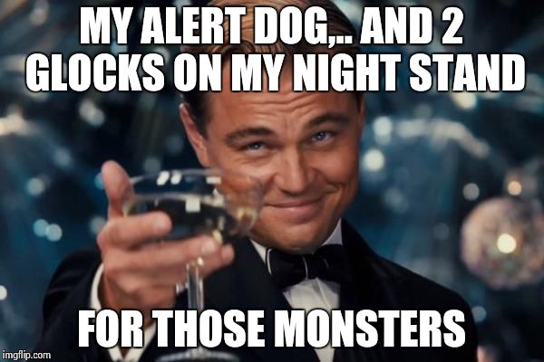 Leonardo Dicaprio Cheers Meme | MY ALERT DOG,.. AND 2 GLOCKS ON MY NIGHT STAND FOR THOSE MONSTERS | image tagged in memes,leonardo dicaprio cheers | made w/ Imgflip meme maker