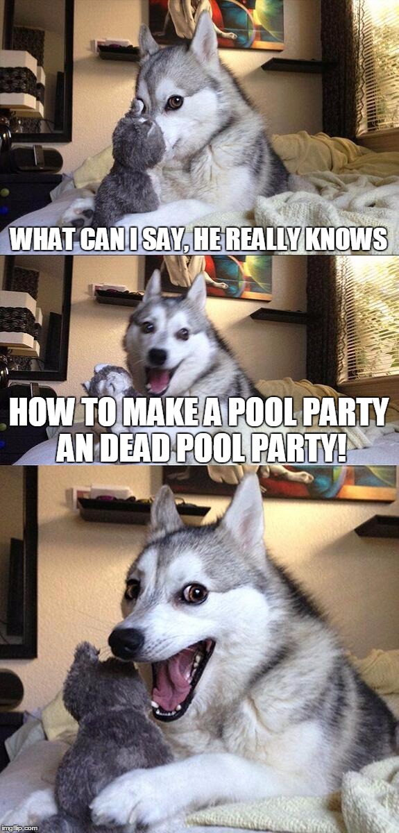 Bad Pun Dog Meme | WHAT CAN I SAY, HE REALLY KNOWS HOW TO MAKE A POOL PARTY AN DEAD POOL PARTY! | image tagged in memes,bad pun dog | made w/ Imgflip meme maker