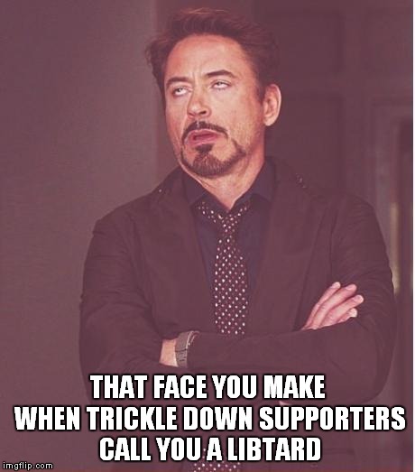 Face You Make Robert Downey Jr Meme | THAT FACE YOU MAKE WHEN TRICKLE DOWN SUPPORTERS CALL YOU A LIBTARD | image tagged in memes,face you make robert downey jr | made w/ Imgflip meme maker
