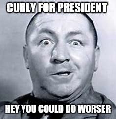 Curly | CURLY FOR PRESIDENT; HEY YOU COULD DO WORSER | image tagged in curly | made w/ Imgflip meme maker