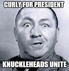 Curly | CURLY FOR PRESIDENT; KNUCKLEHEADS UNITE | image tagged in curly | made w/ Imgflip meme maker