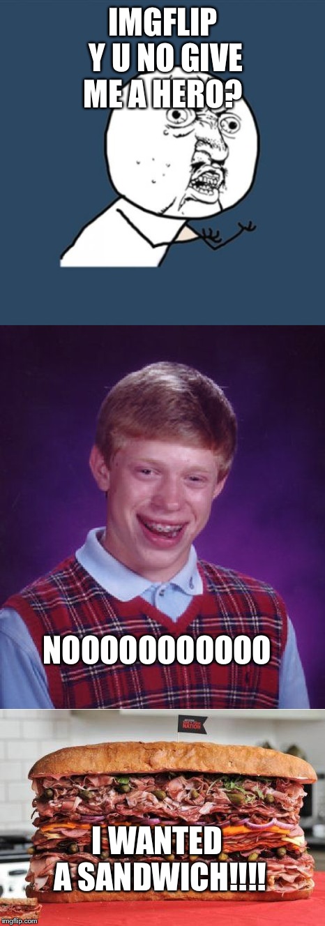 I'm Holding Out For A Hero 'till The Morning Light  | IMGFLIP Y U NO GIVE ME A HERO? NOOOOOOOOOOO; I WANTED A SANDWICH!!!! | image tagged in bad luck brian,y u no,memes,lolz | made w/ Imgflip meme maker