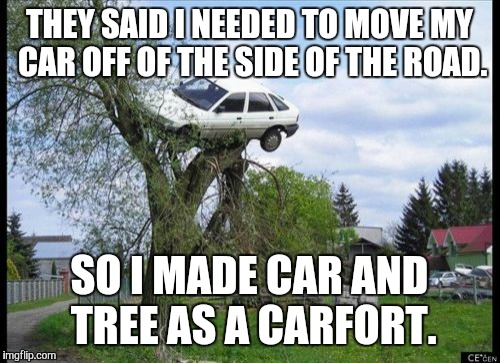 Secure Parking | THEY SAID I NEEDED TO MOVE MY CAR OFF OF THE SIDE OF THE ROAD. SO I MADE CAR AND TREE AS A CARFORT. | image tagged in memes,secure parking | made w/ Imgflip meme maker