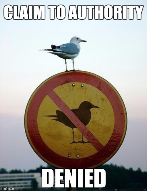 Seagull on top of "no seagull" sign | CLAIM TO AUTHORITY; DENIED | image tagged in seagull on top of no seagull sign | made w/ Imgflip meme maker