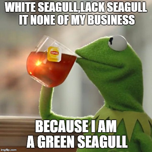 WHITE SEAGULL,LACK SEAGULL IT NONE OF MY BUSINESS BECAUSE I AM A GREEN SEAGULL | image tagged in memes,but thats none of my business,kermit the frog | made w/ Imgflip meme maker