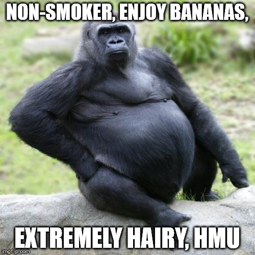 NON-SMOKER, ENJOY BANANAS, EXTREMELY HAIRY, HMU | made w/ Imgflip meme maker