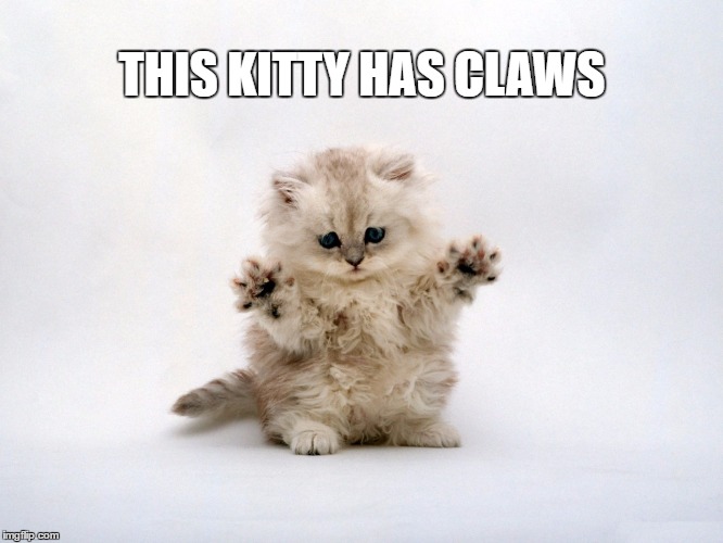 THIS KITTY HAS CLAWS | image tagged in kitty has claws | made w/ Imgflip meme maker