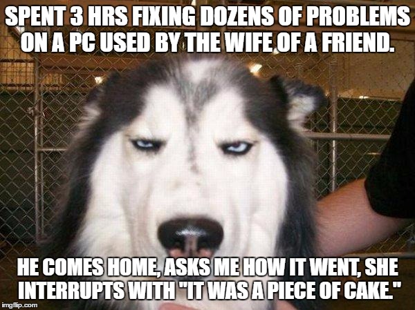 seriously_husky | SPENT 3 HRS FIXING DOZENS OF PROBLEMS ON A PC USED BY THE WIFE OF A FRIEND. HE COMES HOME, ASKS ME HOW IT WENT, SHE INTERRUPTS WITH "IT WAS A PIECE OF CAKE." | image tagged in seriously_husky,AdviceAnimals | made w/ Imgflip meme maker