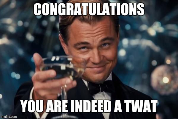 Leonardo Dicaprio Cheers | CONGRATULATIONS; YOU ARE INDEED A TWAT | image tagged in memes,leonardo dicaprio cheers | made w/ Imgflip meme maker
