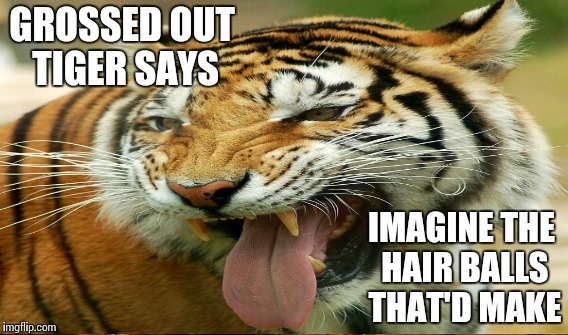 GROSSED OUT TIGER SAYS IMAGINE THE HAIR BALLS THAT'D MAKE | made w/ Imgflip meme maker