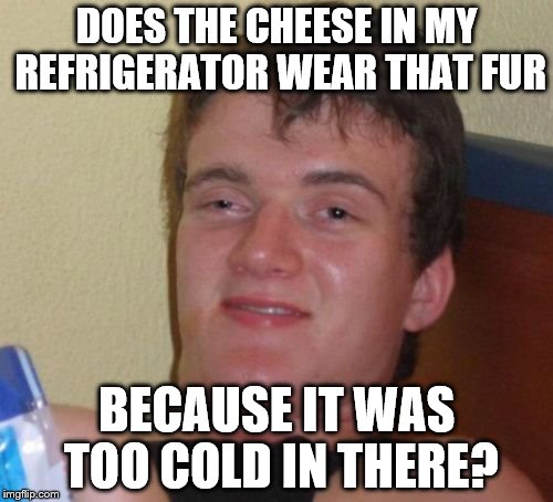 10 Guy Meme | DOES THE CHEESE IN MY REFRIGERATOR WEAR THAT FUR; BECAUSE IT WAS TOO COLD IN THERE? | image tagged in memes,10 guy | made w/ Imgflip meme maker