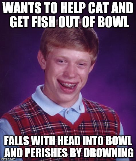 Bad Luck Brian Meme | WANTS TO HELP CAT AND GET FISH OUT OF BOWL FALLS WITH HEAD INTO BOWL AND PERISHES BY DROWNING | image tagged in memes,bad luck brian | made w/ Imgflip meme maker