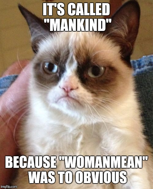 Grumpy Cat | IT'S CALLED "MANKIND"; BECAUSE "WOMANMEAN" WAS TO OBVIOUS | image tagged in memes,grumpy cat | made w/ Imgflip meme maker