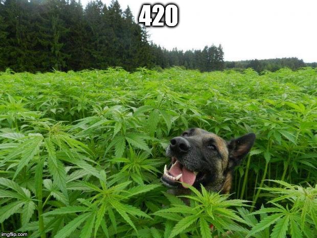 420 | made w/ Imgflip meme maker