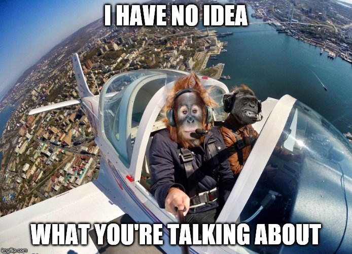 I HAVE NO IDEA WHAT YOU'RE TALKING ABOUT | image tagged in apes_on_a_plane | made w/ Imgflip meme maker