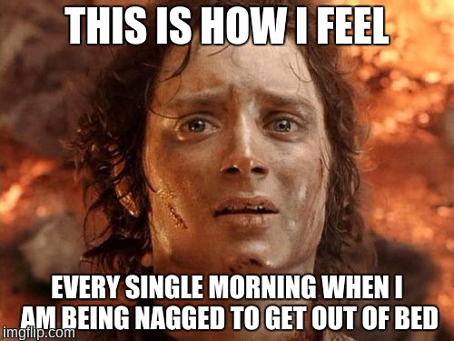 I just want to sleep for more time | THIS IS HOW I FEEL; EVERY SINGLE MORNING WHEN I AM BEING NAGGED TO GET OUT OF BED | image tagged in memes,its finally over,in the morning,nagged,bed,wake up | made w/ Imgflip meme maker