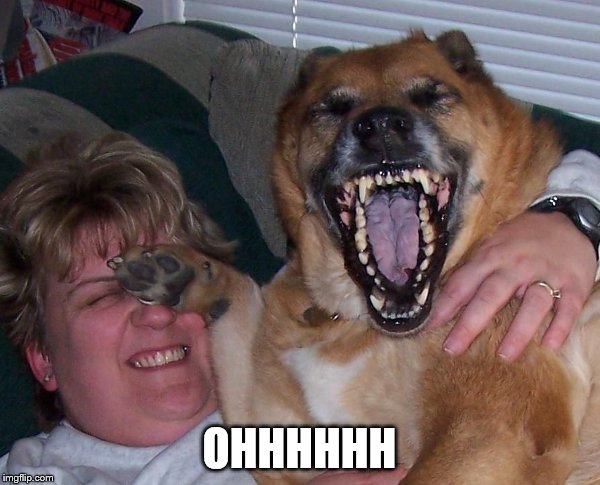 laughing dog | OHHHHHH | image tagged in laughing dog | made w/ Imgflip meme maker