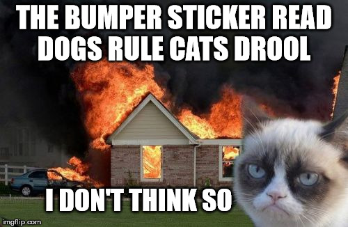 I don't think so  | THE BUMPER STICKER READ DOGS RULE CATS DROOL; I DON'T THINK SO | image tagged in memes,burn kitty | made w/ Imgflip meme maker