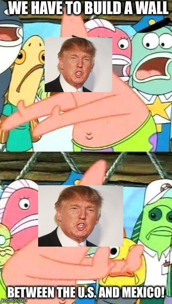 Patrick Star | WE HAVE TO BUILD A WALL; BETWEEN THE U.S. AND MEXICO! | image tagged in patrick star,donald trump we have build a wall | made w/ Imgflip meme maker