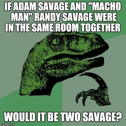 Philosoraptor | IF ADAM SAVAGE AND "MACHO MAN" RANDY SAVAGE WERE IN THE SAME ROOM TOGETHER; WOULD IT BE TWO SAVAGE? | image tagged in memes,philosoraptor | made w/ Imgflip meme maker