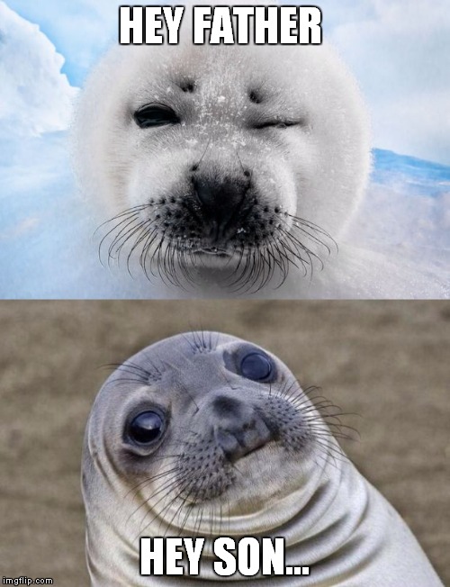 cute seal meets his father | HEY FATHER; HEY SON... | image tagged in memes,awkward moment sealion,seal | made w/ Imgflip meme maker