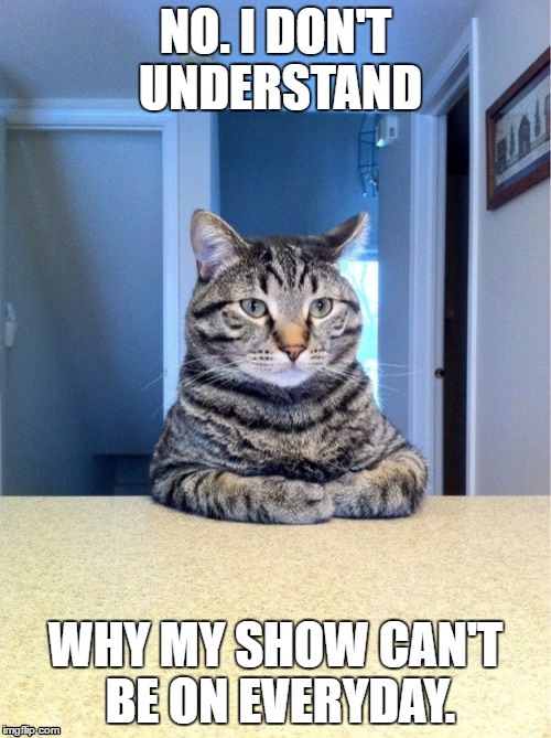 Take A Seat Cat | NO. I DON'T UNDERSTAND; WHY MY SHOW CAN'T BE ON EVERYDAY. | image tagged in memes,take a seat cat | made w/ Imgflip meme maker