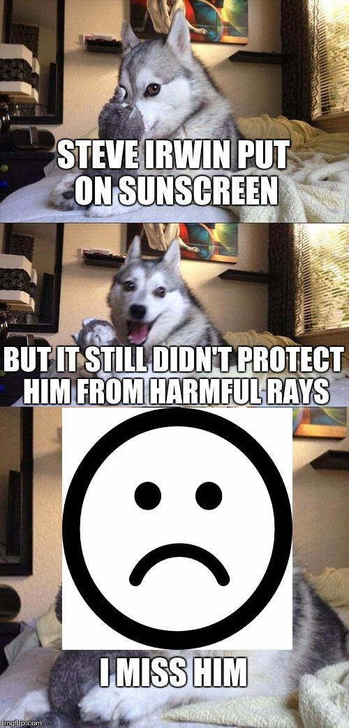 Man...Rest In Piece... | STEVE IRWIN PUT ON SUNSCREEN; BUT IT STILL DIDN'T PROTECT HIM FROM HARMFUL RAYS; I MISS HIM | image tagged in memes,bad pun dog | made w/ Imgflip meme maker