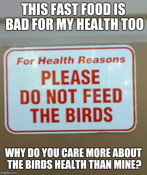 THIS FAST FOOD IS BAD FOR MY HEALTH TOO; WHY DO YOU CARE MORE ABOUT THE BIRDS HEALTH THAN MINE? | image tagged in do not feed birds | made w/ Imgflip meme maker